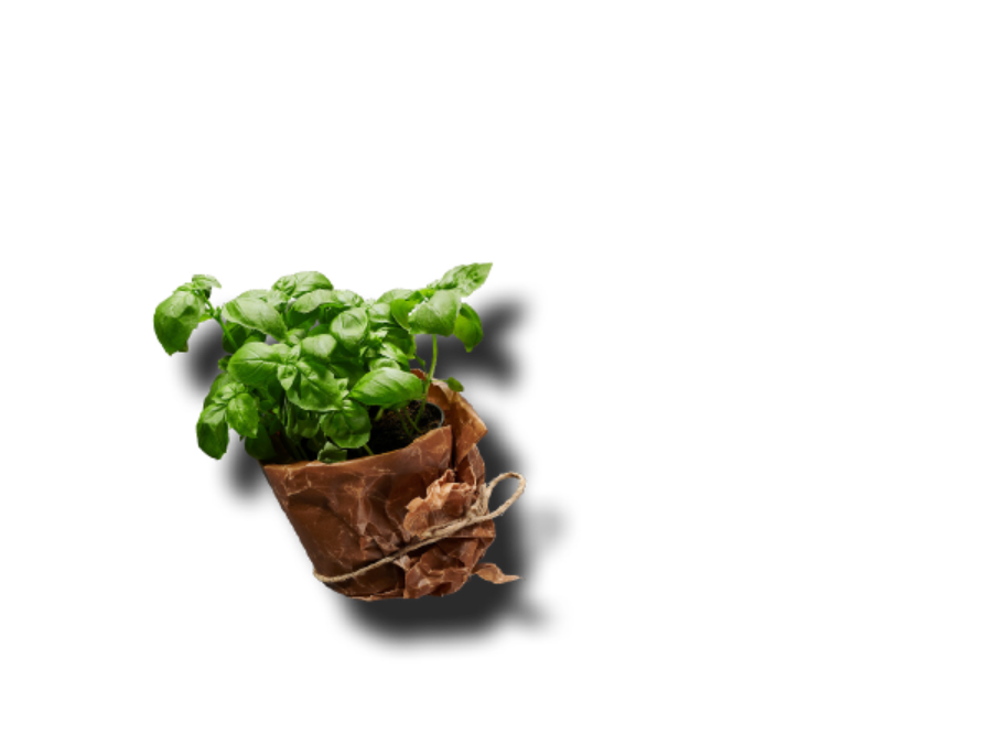 Dagens